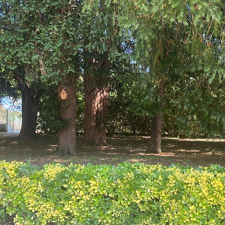 Domaine De La Mouleyre A Cenac Proche Bordeaux Βίλα Carignan-de-Bordeaux Εξωτερικό φωτογραφία