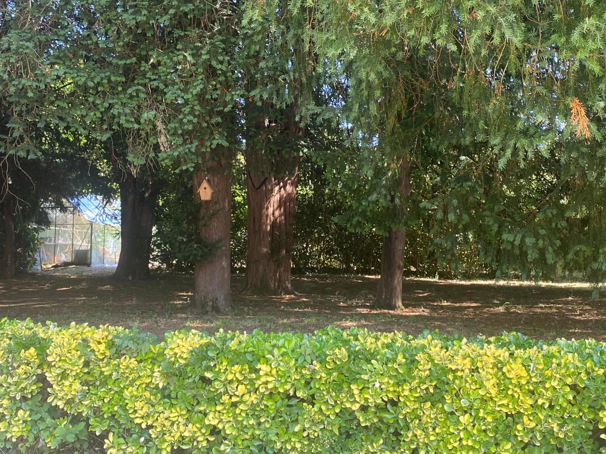 Domaine De La Mouleyre A Cenac Proche Bordeaux Βίλα Carignan-de-Bordeaux Εξωτερικό φωτογραφία